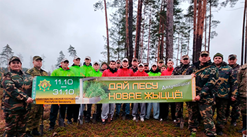 Учащиеся колледжа приняли участие в экологической акции по посадке леса